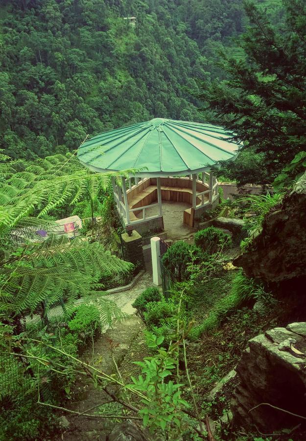 Enchanted Forest Farmstay Gangtok Exteriér fotografie