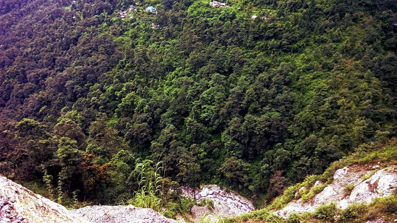 Enchanted Forest Farmstay Gangtok Exteriér fotografie