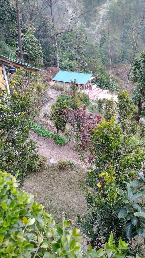 Enchanted Forest Farmstay Gangtok Exteriér fotografie