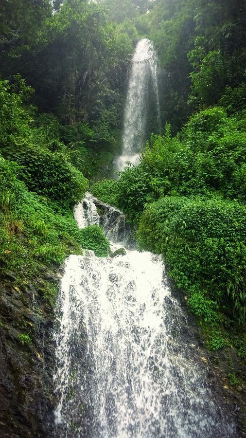Enchanted Forest Farmstay Gangtok Exteriér fotografie