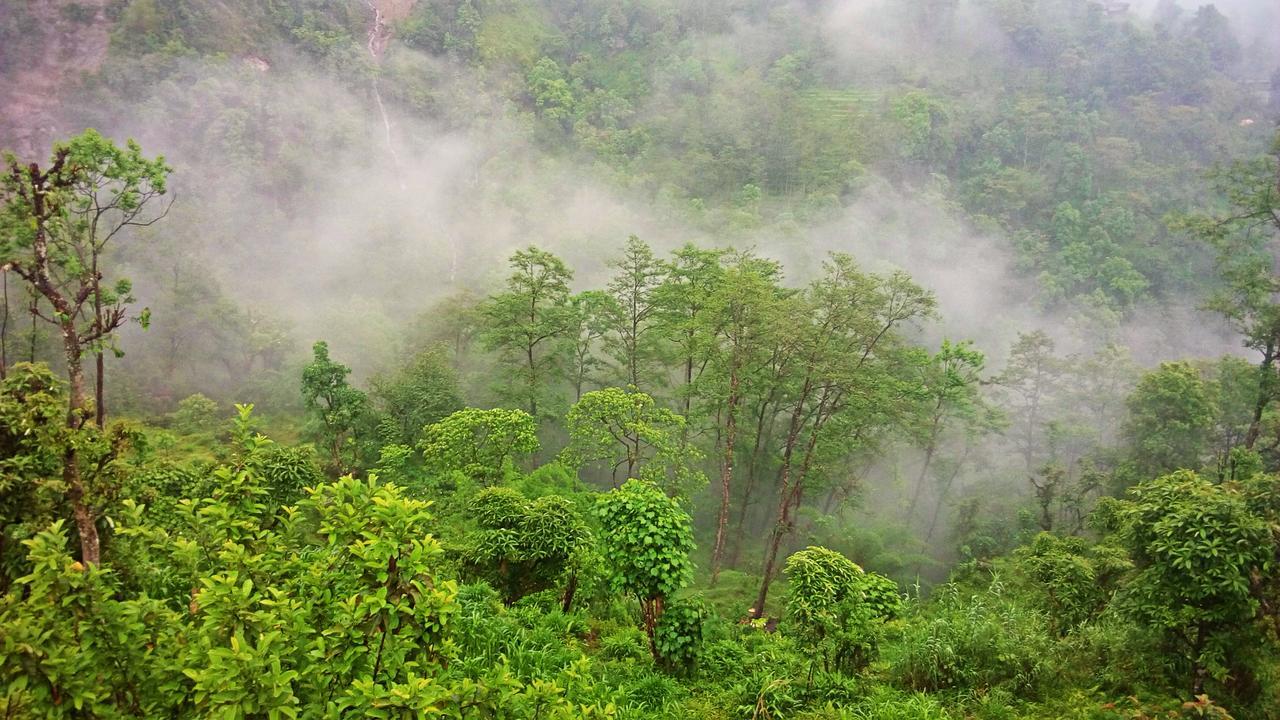 Enchanted Forest Farmstay Gangtok Exteriér fotografie