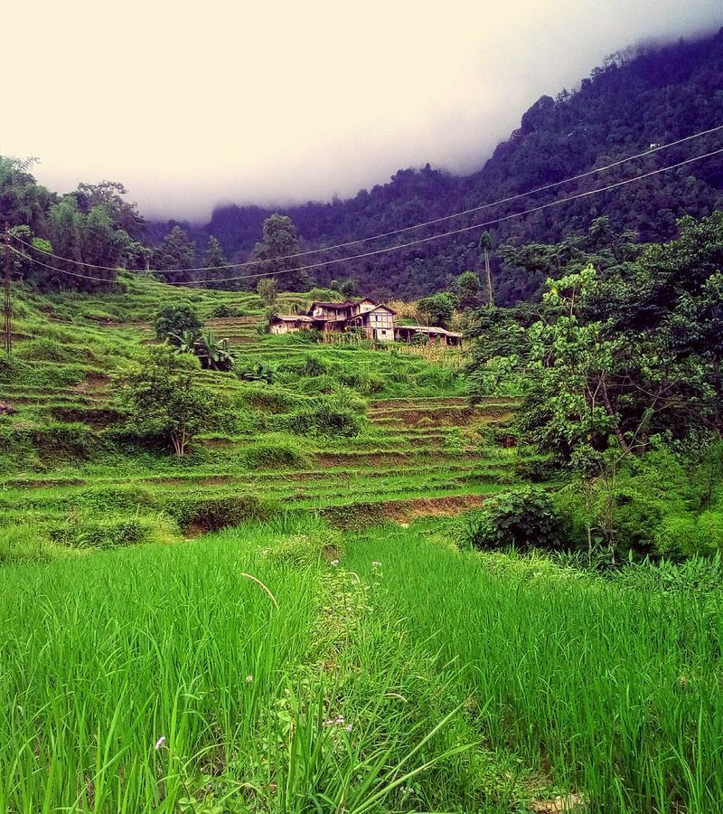 Enchanted Forest Farmstay Gangtok Exteriér fotografie