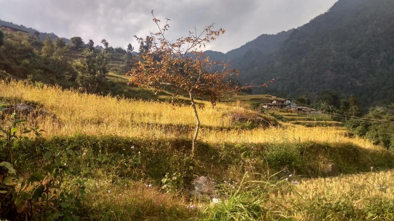 Enchanted Forest Farmstay Gangtok Exteriér fotografie