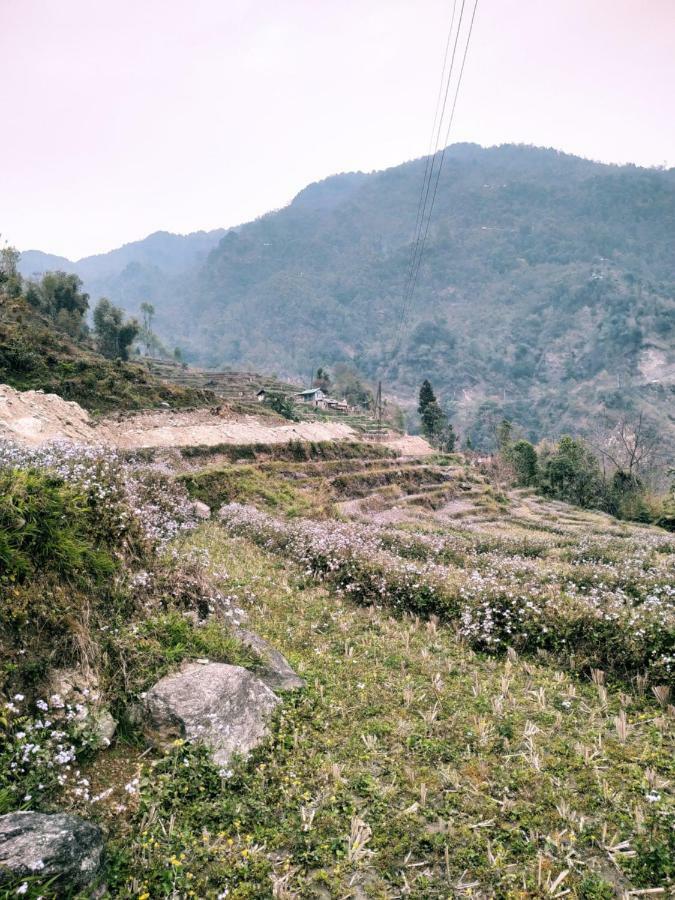 Enchanted Forest Farmstay Gangtok Exteriér fotografie