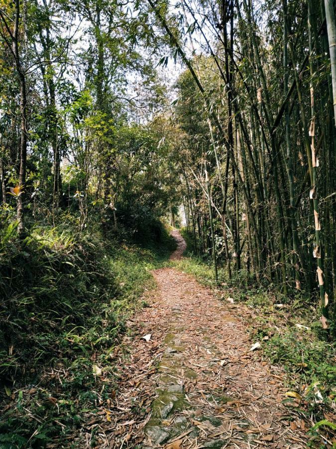 Enchanted Forest Farmstay Gangtok Exteriér fotografie