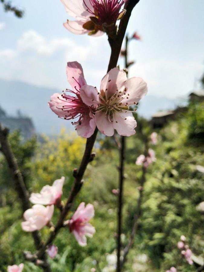 Enchanted Forest Farmstay Gangtok Exteriér fotografie