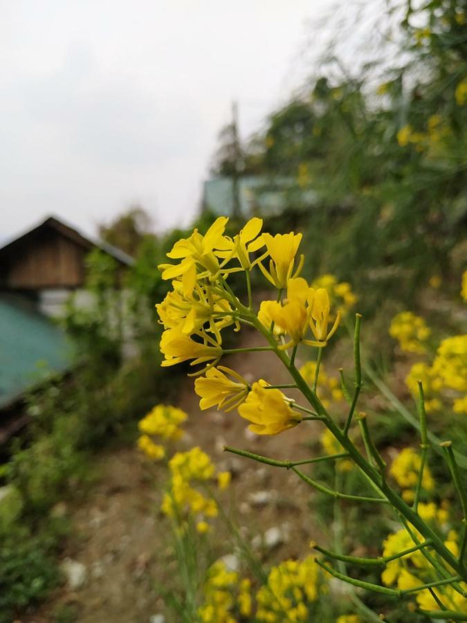 Enchanted Forest Farmstay Gangtok Exteriér fotografie