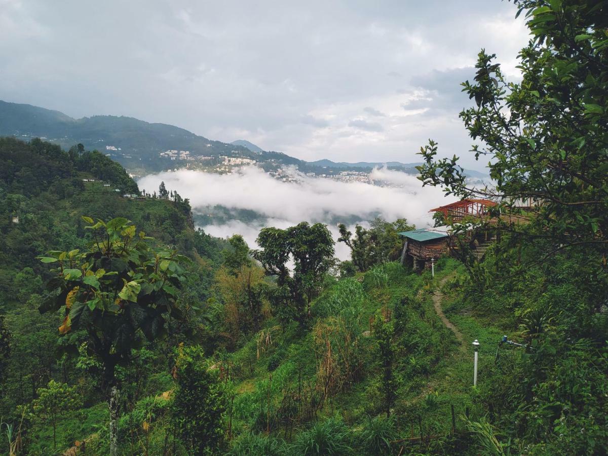 Enchanted Forest Farmstay Gangtok Exteriér fotografie