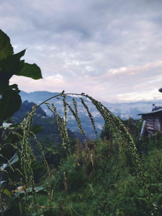 Enchanted Forest Farmstay Gangtok Exteriér fotografie