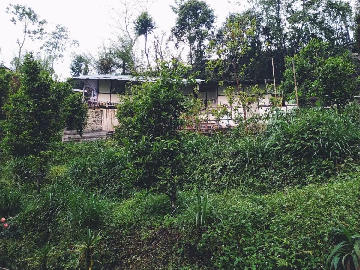 Enchanted Forest Farmstay Gangtok Exteriér fotografie